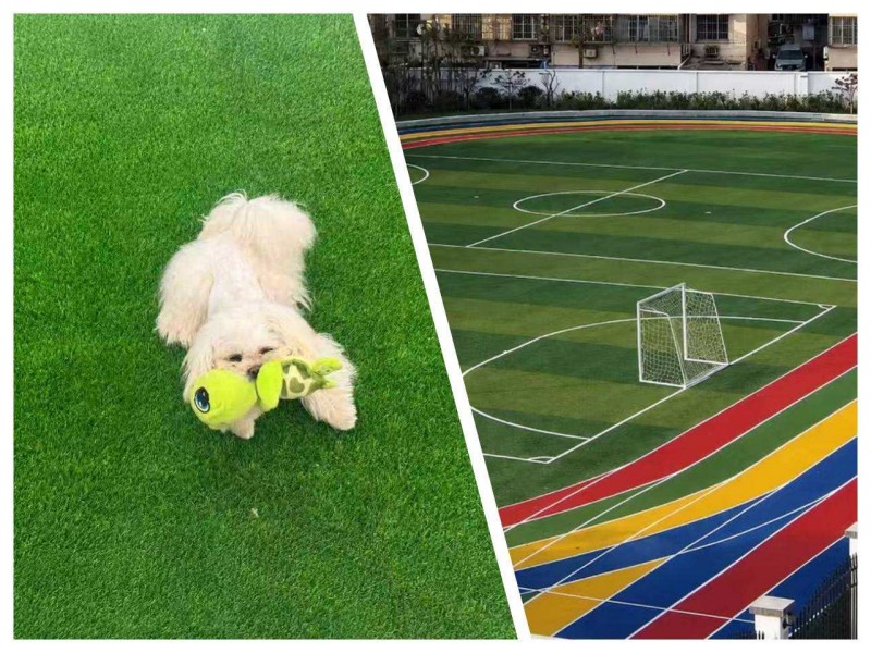 Multi-Sport & Gym Turf